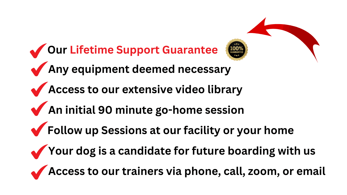 The Hyper Pup Board and Train Benefits